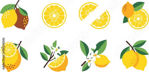 Lemon and Citrus Icons Set with Whole, Sliced, and Zesty Lemons for Fresh Fruit, Food, and Natural Ingredients Illustrations