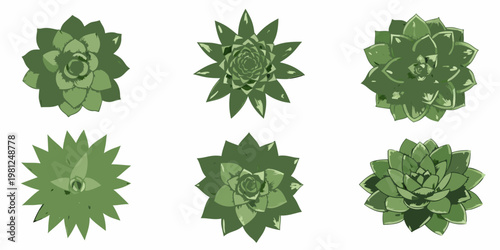 Six stylized succulent plants arranged in a grid on a white background