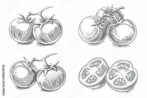 A grayscale sketch depicting arrangements of ripe tomatoes and a cut tomato