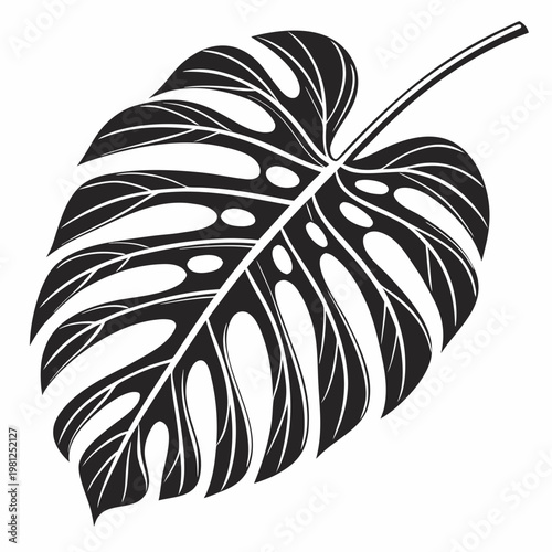 Monstera Deliciosa Tropical Leaf Silhouette Vector Illustration