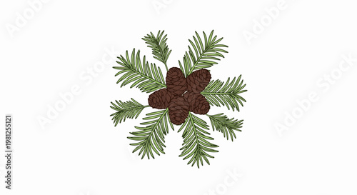 Cluster of pine cones on evergreen branches