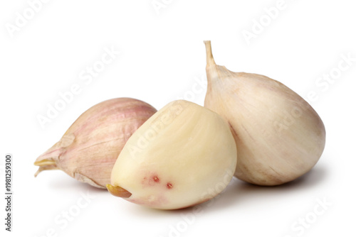 Fresh garlic