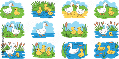 Cute duck and duckling vector illustration set with mother goose baby birds frog and pond plants for children books