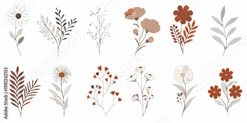 Collection of delicate floral illustrations with varying colors and shapes