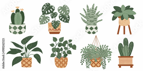 A collection of various potted houseplants in a decorative illustration
