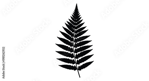 A detailed black fern frond against a white background silhouette