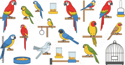 Professional Pet Birds and Parrots Vector Set Featuring Diverse Macaws Cockatiels Lovebirds Cages and Bird Food Isolated on White Background for Avian Designs