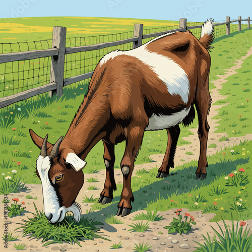 Brown and white domestic goat grazing on green grass in a sunny rural pasture. A wooden fence and dirt path frame this tranquil farm scene, showing natural beauty