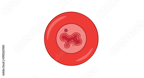 Detailed illustration of a red blood cell with a visible nucleus and organelles in a medical context for educational purposes