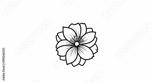 Delicate black and white line drawing of a blooming flower with many petals