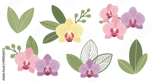 Collection of delicate orchid flowers in pink, purple, and yellow with green leaves in a flat design style