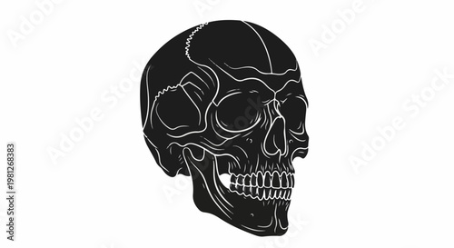 Detailed black and white illustration of a human skull in profile view