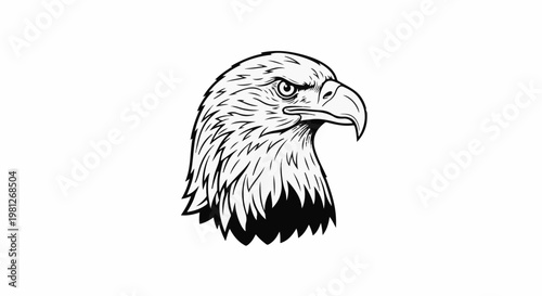 Detailed black and white illustration of an eagle's head
