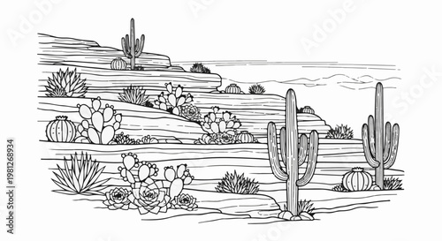 Dry, arid desert landscape featuring various cacti and succulents on rocky terrain