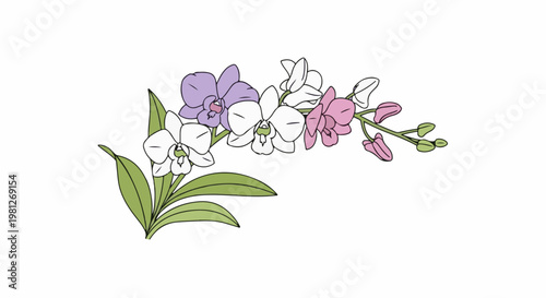 Delicate orchid branch with pastel blooms and buds