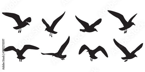 Eight black silhouettes of birds in flight on a white background