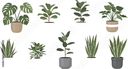 Collection of eight distinct potted indoor plants in stylized illustrations Vector
