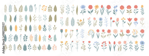 Assorted hand-drawn floral and leaf elements in muted colors