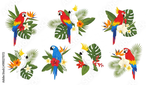 Tropical birds floral vector illustration invitation poster decoration set