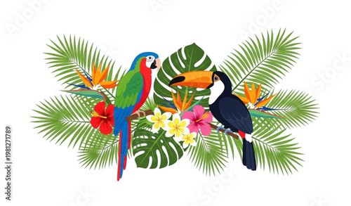 Tropical birds and flowers vector illustration parrot toucan jungle set