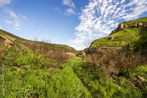 A small overgrown Hiking trail in the Drakensberg Mountains of the Golden Gate National Park, Drakensberg Mountains, South Africa, on a sunny summers day
