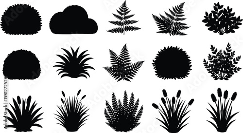 Diverse collection of stylized black and white botanical and plant icons Vector
