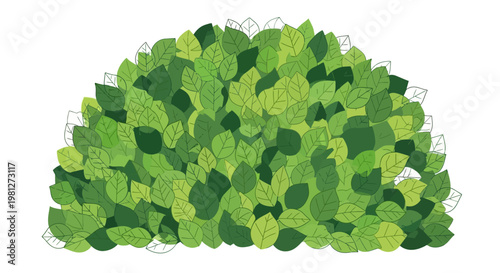Green leaves on a bush.