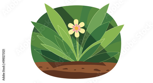 Green plant with single yellow flower.