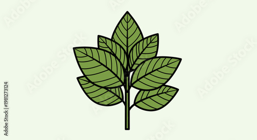 Green leafy plant with multiple leaves.