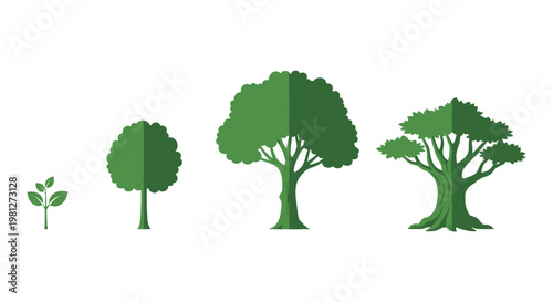 Green trees in different growth stages.