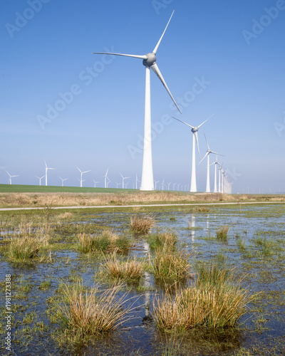 Wind turbines over wetland grass tussocks Netherlands