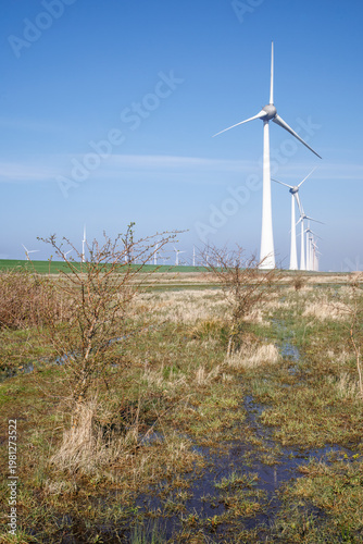 Wind turbines in wetland landscape with shrubs Netherlands