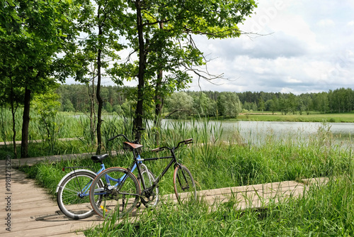 Photos beautiful landscape with bicycles parked in summer park