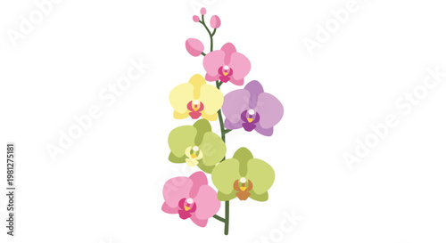 A vibrant stalk of colorful orchid flowers in shades of pink, yellow, purple, and green blooming beautifully