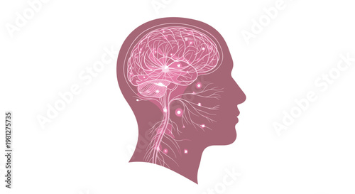 A side profile of a human head reveals a complex network of glowing pink neural pathways and a detailed brain structure against a pristine white background.