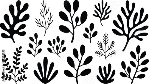 Seaweed Silhouette Vector Collection Featuring Abstract Algae Shapes and Black Underwater Plants, Ocean Botanical Elements for Coastal Design, Marine Flora Illustration Set, and Minimal Aquatic Decor