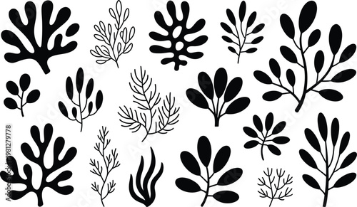 Seaweed Silhouette Vector Collection Featuring Abstract Algae Shapes and Black Underwater Plants, Ocean Botanical Elements for Coastal Design, Marine Flora Illustration Set, and Minimal Aquatic Decor