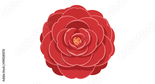 Vibrant red camellia flower with detailed petals and a yellow center isolated on a white background