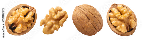 Bild auf Leinwand Walnut set with whole nut and cracked halves showing kernels, isolated on cutout