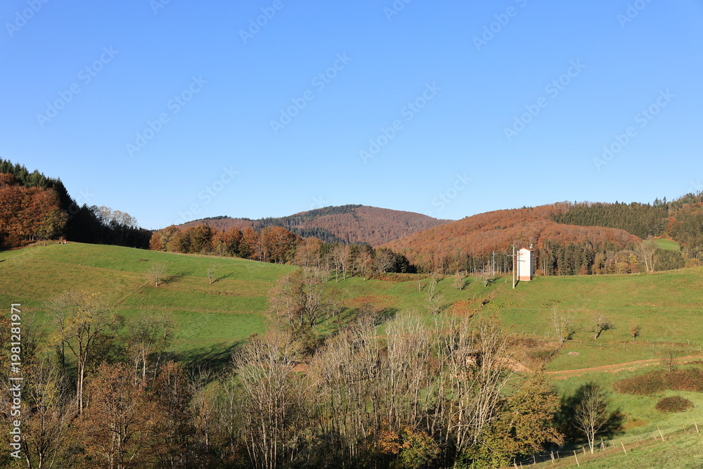 Fototapeta premium Sonniger Herbsttag bei Steinen im Hochschwarzwald