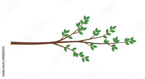 A simplified graphic illustration of a brown woody branch with clusters of vibrant green oval leaves extends horizontally across a white empty space.