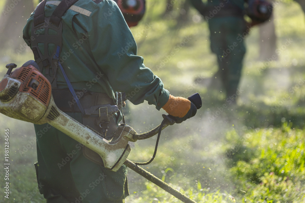 Fototapeta premium Close up of park worker using brush cutter for lawn maintenance