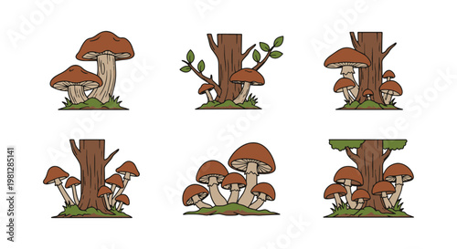 Forest Ecosystem Line art simple pattern abstract vector