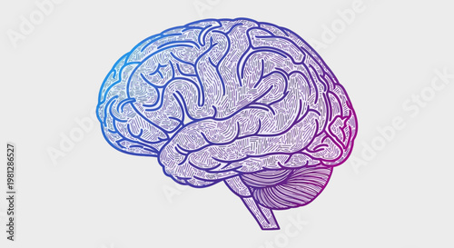Illustration of the Human Brain in Abstract Style with Gradiant Color and Line Art