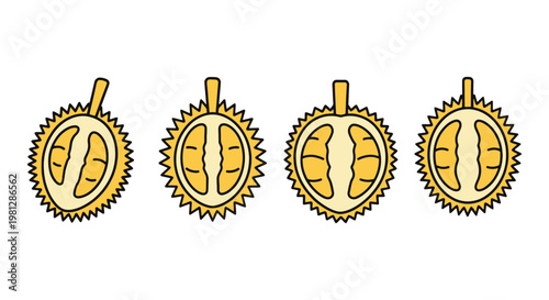 Durian Fruit Line art vector clean abstract