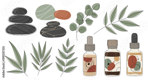 Essential oil bottles and herbs.