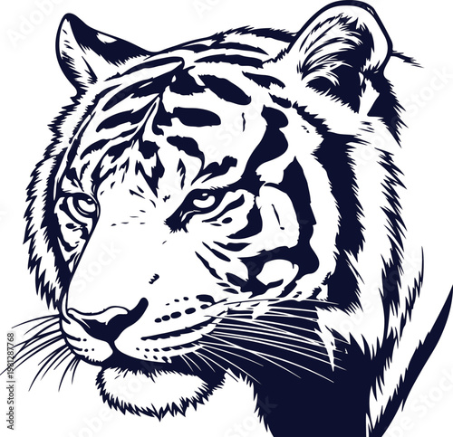 Detailed black and white line drawing of a tiger head with intense eyes and sharp whiskers