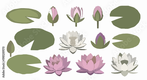 Stylized water lily lotus floral vector set elegant flower EPS10 isolated on white