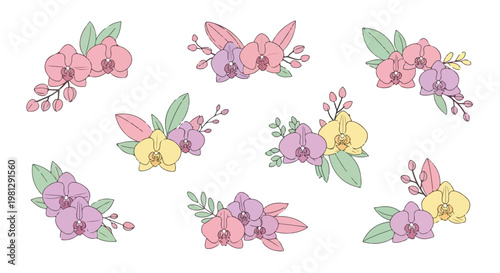 Collection of delicate orchid flower arrangements in soft pastel colors, perfect for floral design elements