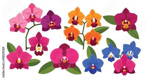 Collection of vibrant orchid flowers in various colors including pink, purple, orange, and blue with green leaves